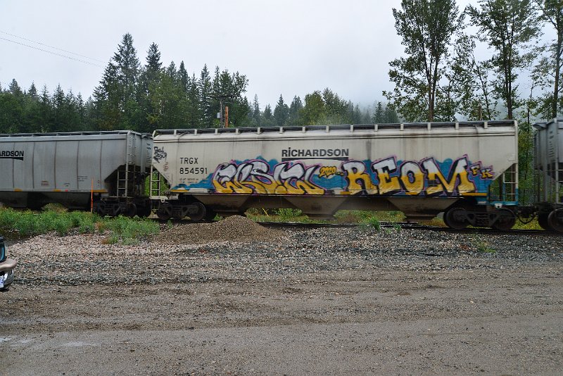 DSC_9195.JPG