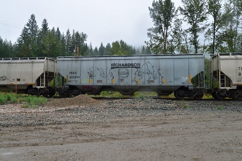 DSC_9198.JPG