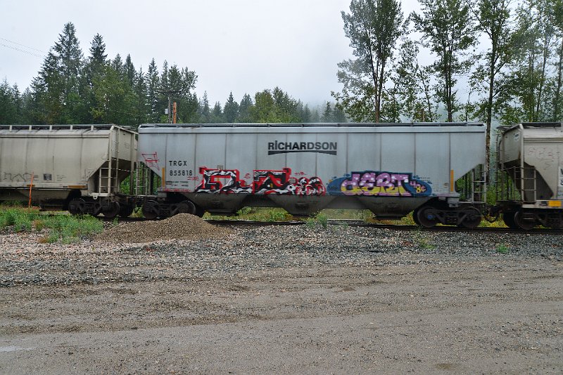 DSC_9203.JPG