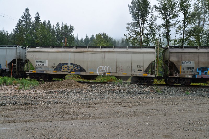 DSC_9204.JPG