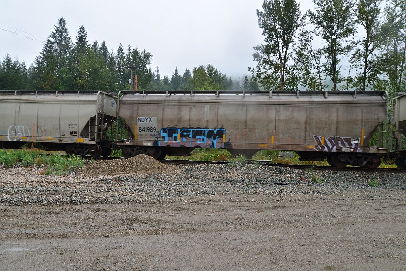 DSC_9205.JPG