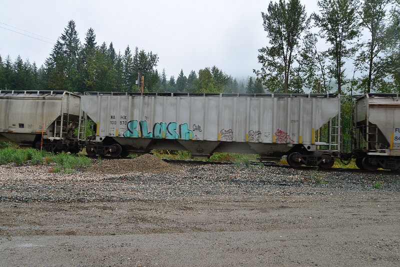 DSC_9209.JPG