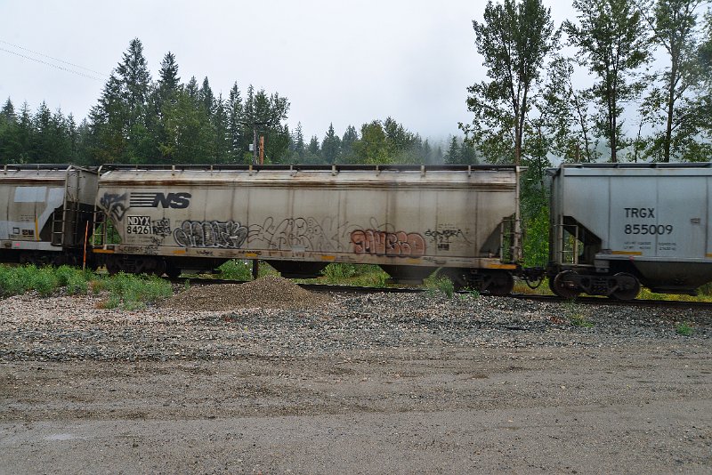 DSC_9211.JPG