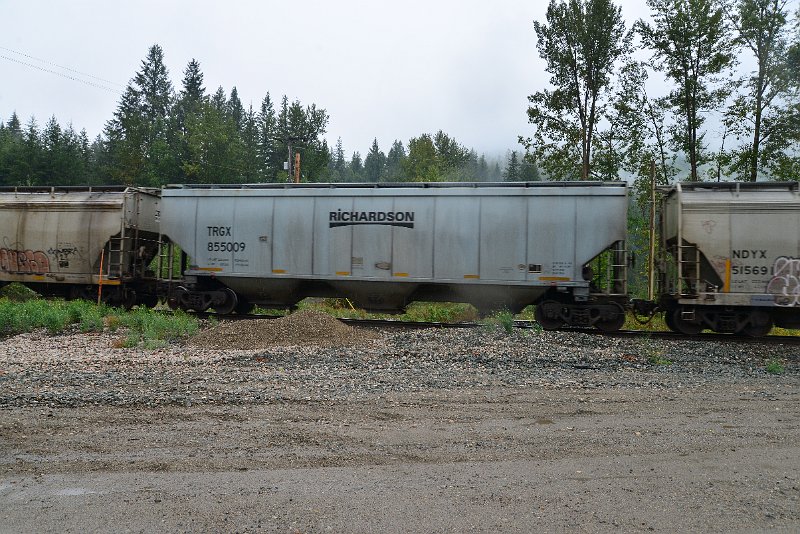 DSC_9212.JPG