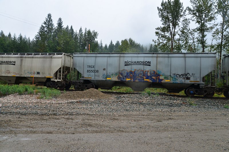 DSC_9217.JPG