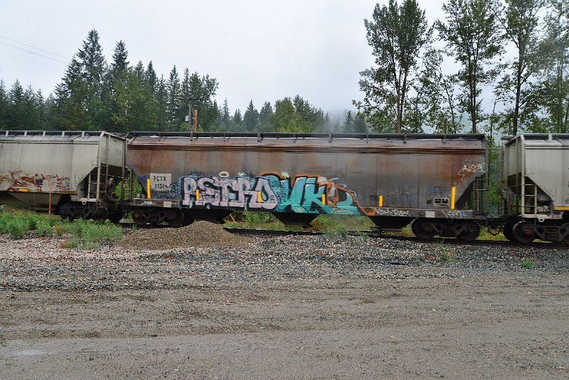 DSC_9228.JPG