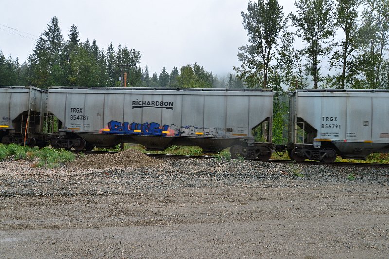 DSC_9231.JPG