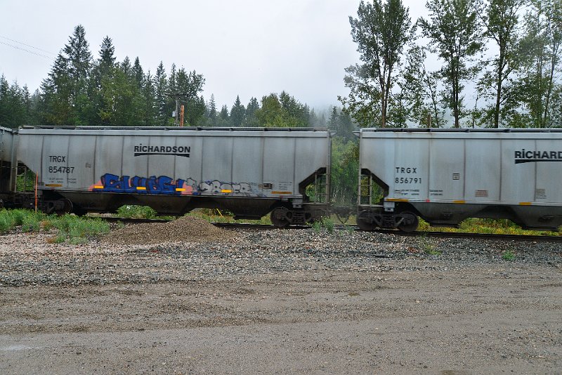 DSC_9232.JPG