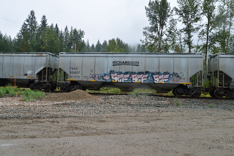 DSC_9235.JPG