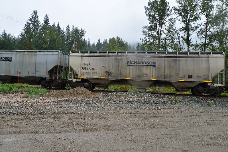 DSC_9238.JPG