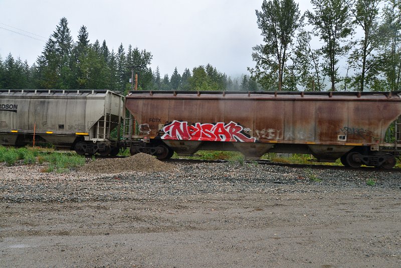 DSC_9239.JPG