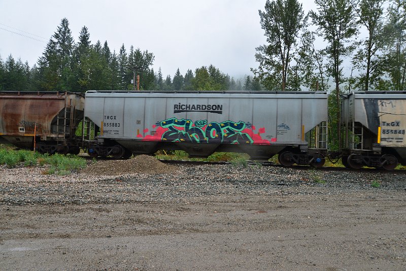 DSC_9240.JPG