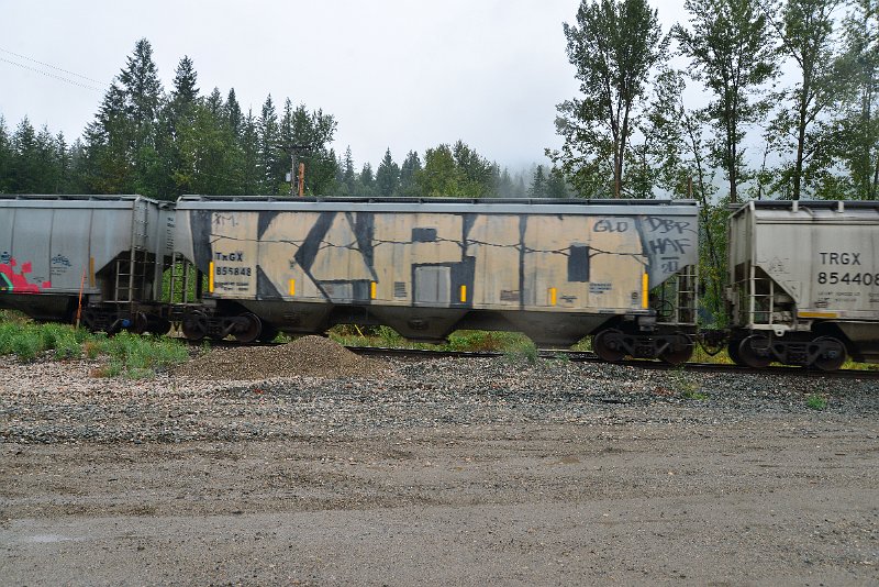 DSC_9241.JPG