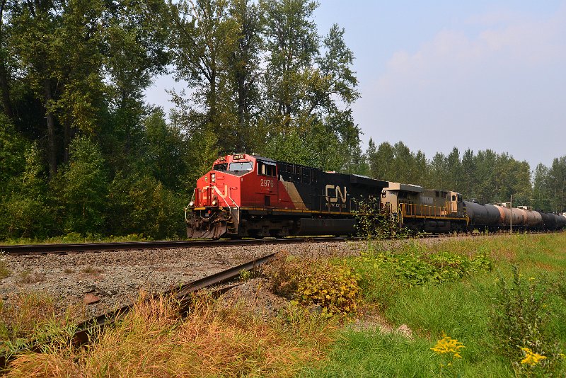 DSC_9625.JPG