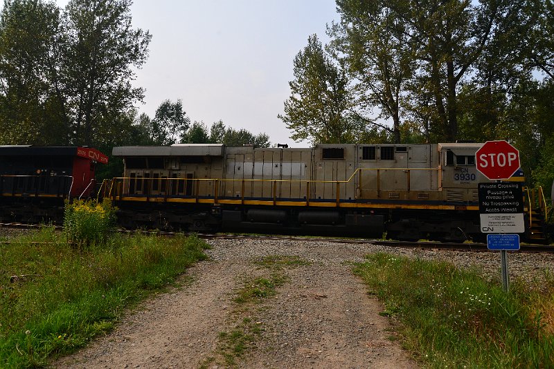 DSC_9627.JPG