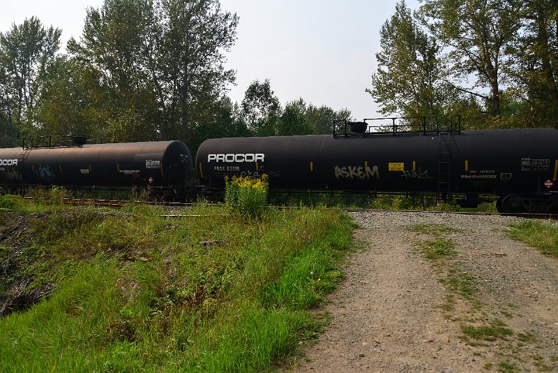 DSC_9704.JPG