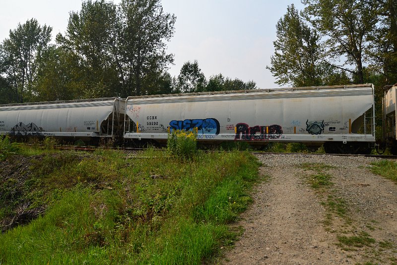 DSC_9713.JPG