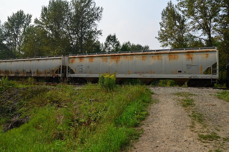 DSC_9715.JPG
