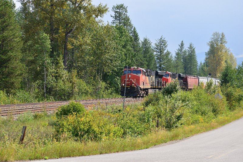 DSC_9821.JPG