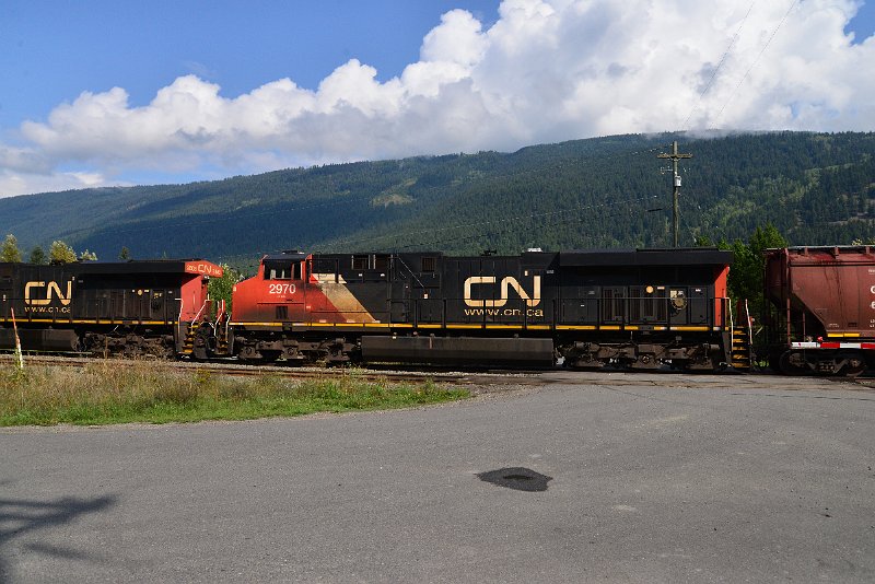DSC_9823.JPG