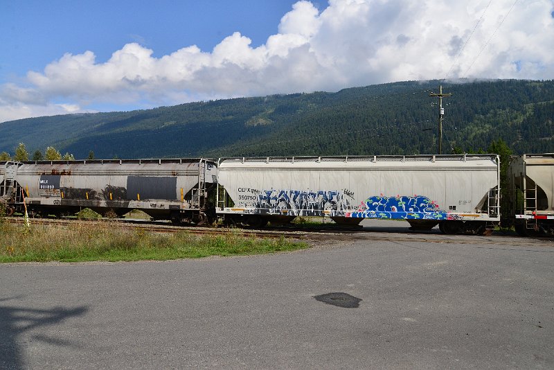 DSC_9829.JPG