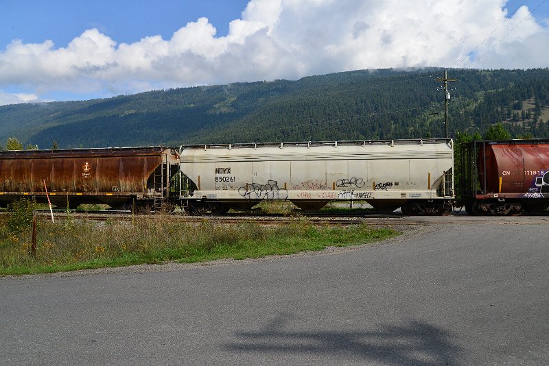 DSC_9853.JPG