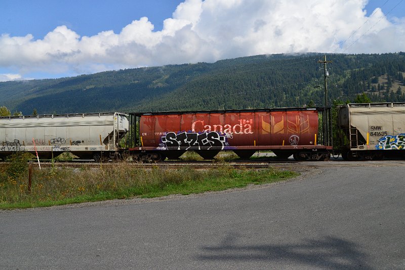 DSC_9854.JPG