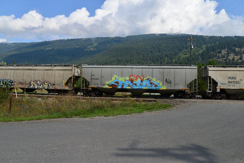 DSC_9856.JPG