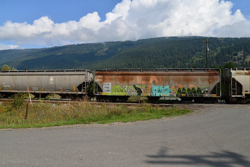 DSC_9868.JPG