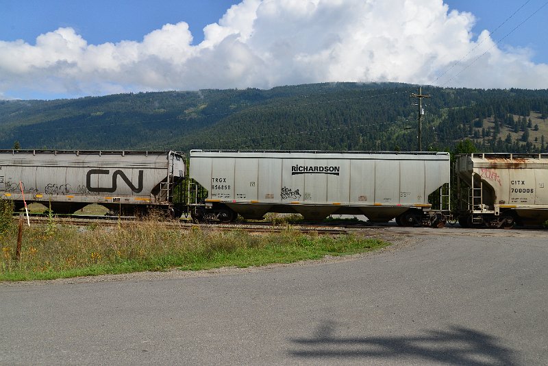 DSC_9876.JPG