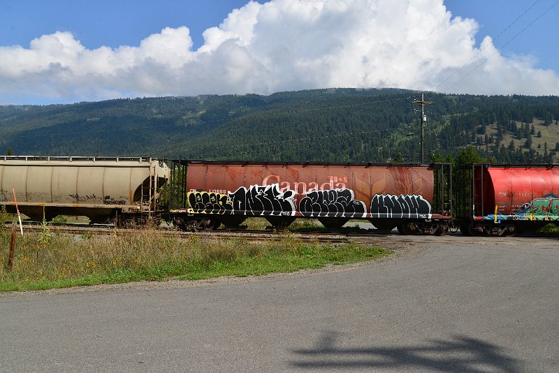 DSC_9884.JPG