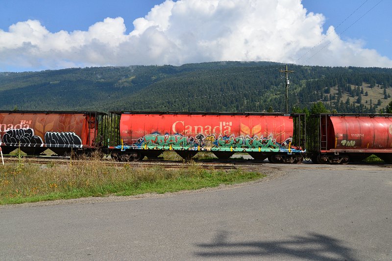 DSC_9885.JPG