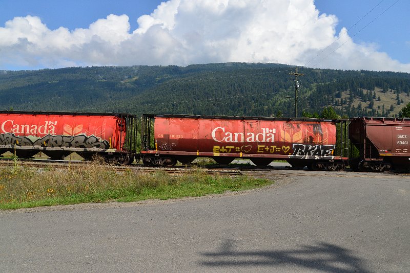DSC_9893.JPG