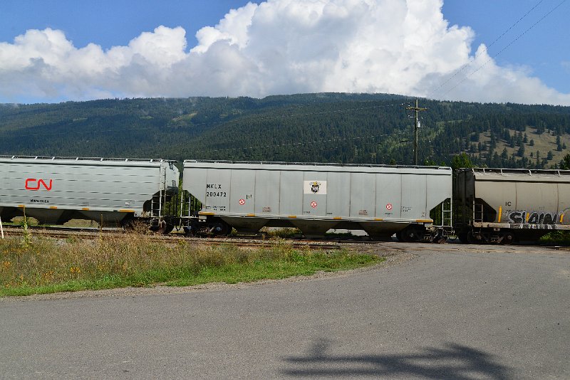 DSC_9898.JPG