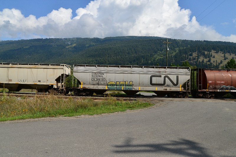 DSC_9907.JPG