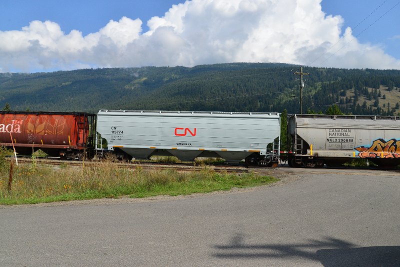 DSC_9913.JPG