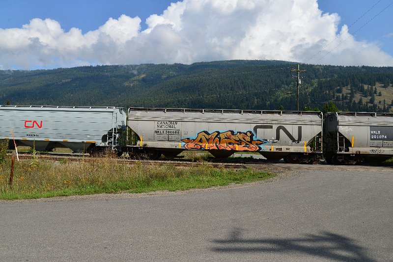 DSC_9914.JPG
