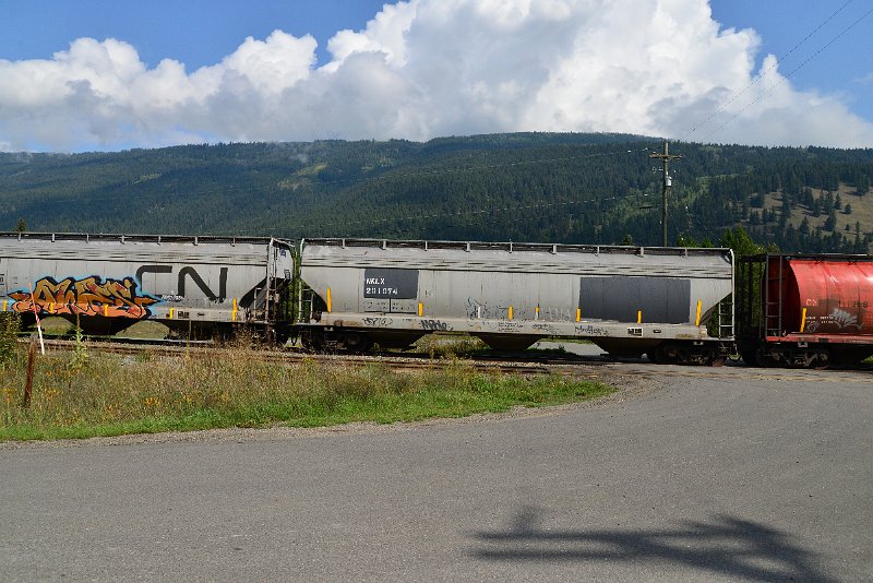 DSC_9915.JPG