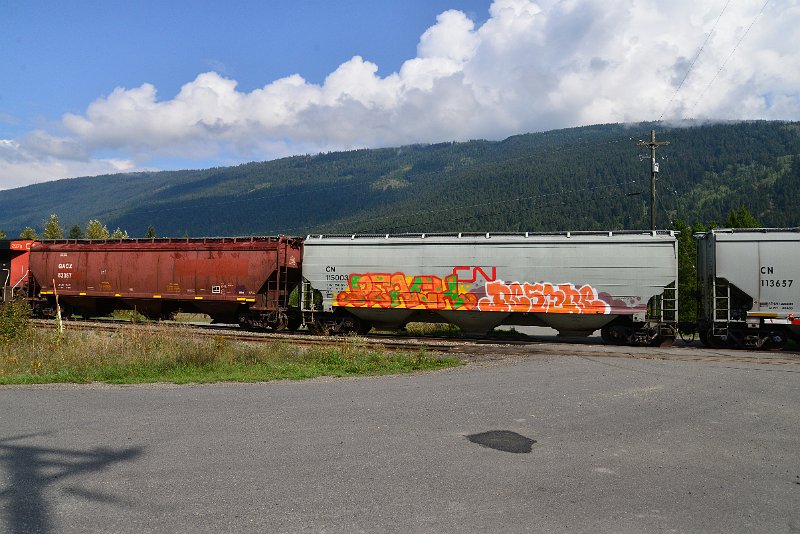 DSC_9825.JPG