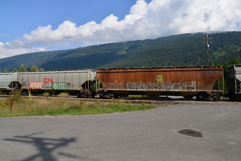 DSC_9833.JPG