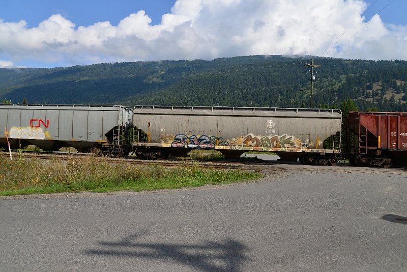 DSC_9848.JPG