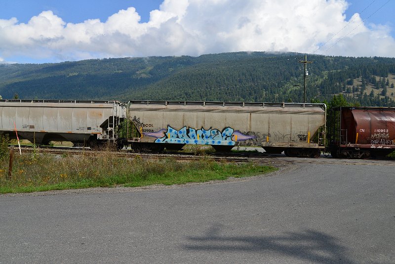 DSC_9858.JPG