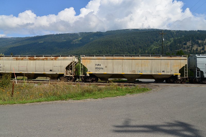 DSC_9870.JPG