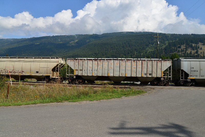 DSC_9878.JPG