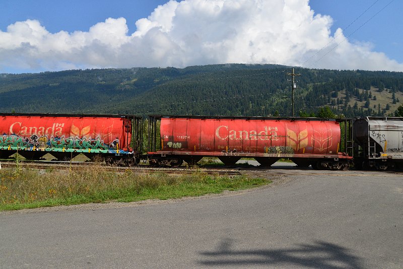 DSC_9886.JPG
