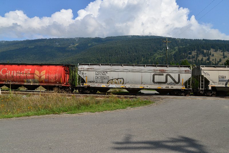 DSC_9887.JPG