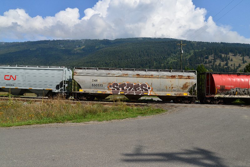 DSC_9891.JPG