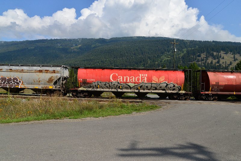 DSC_9892.JPG
