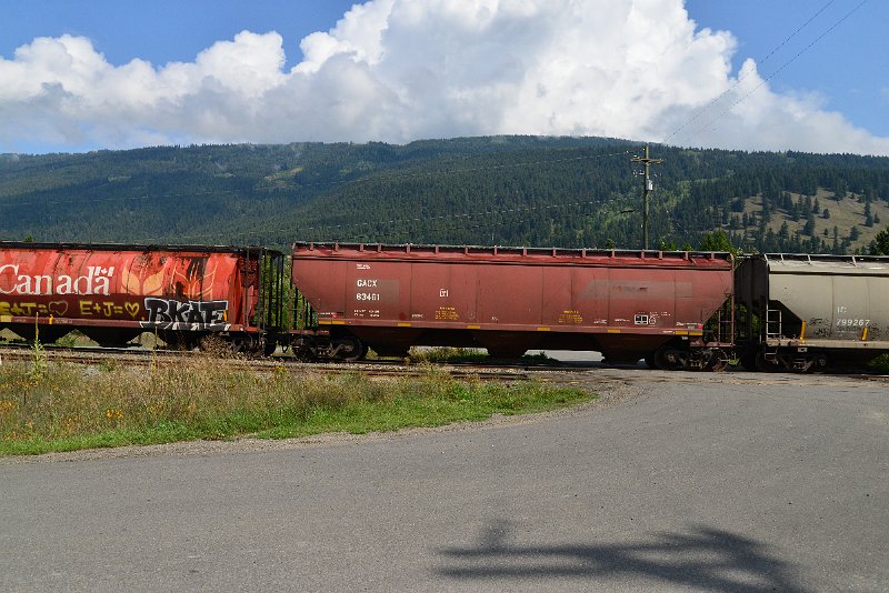 DSC_9894.JPG