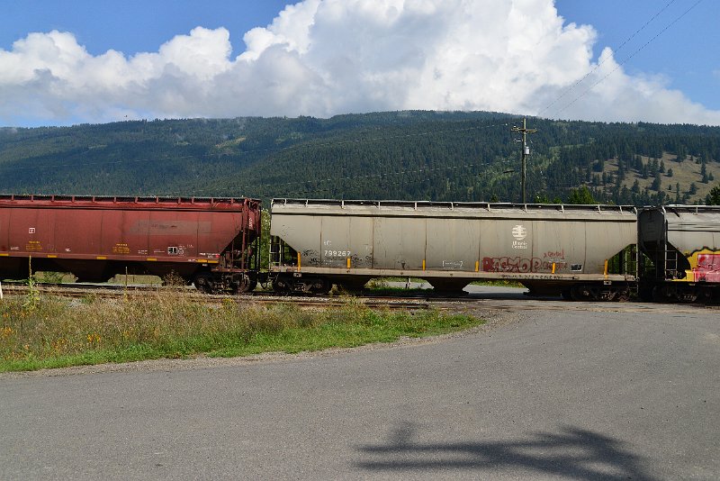 DSC_9895.JPG
